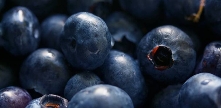 Maqui Berry Benefits
